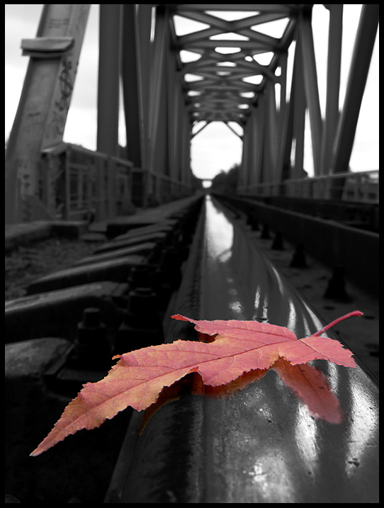 summer is gone