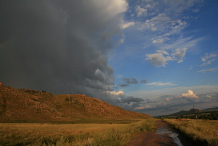 терминатор