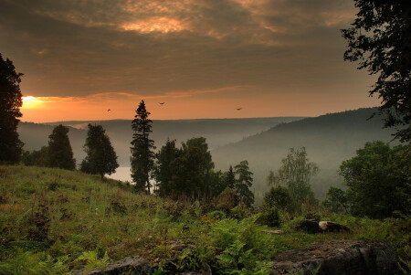 Розовая невесомость