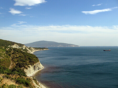 В нашу гавань заходили корабли