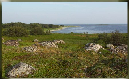 Большой Заяцкий остров (2)