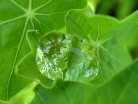 Живительная влага