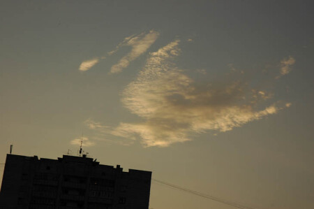 зилант Кокоша