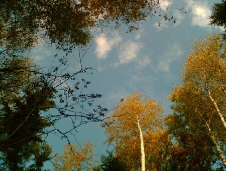 что такое осень, это небо...