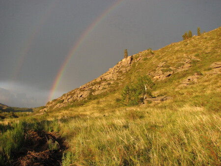 После дождя