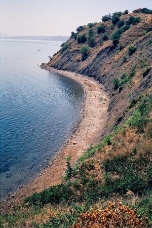 С колючей горы 