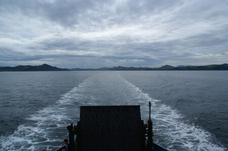 Дорога домой...