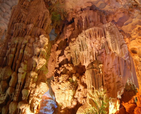 Природы творение...