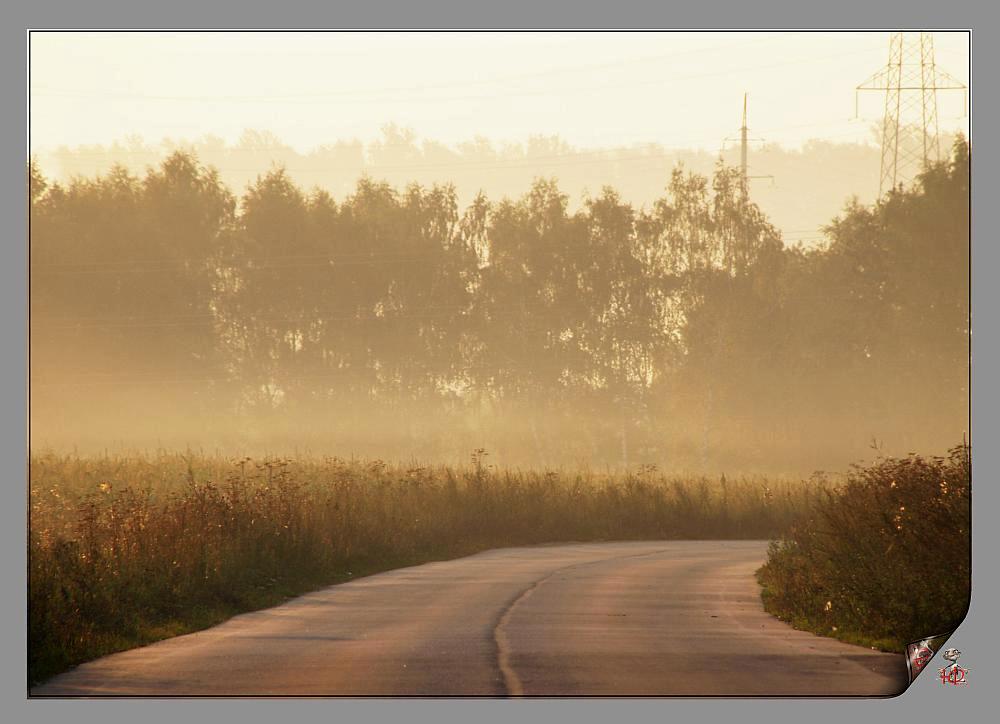 Fog
