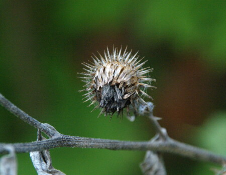Одиночество
