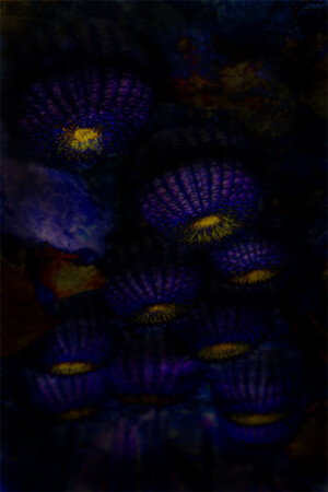 Другой Арракис