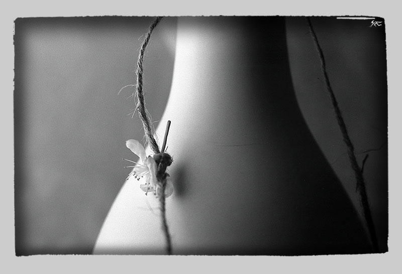 silence 1