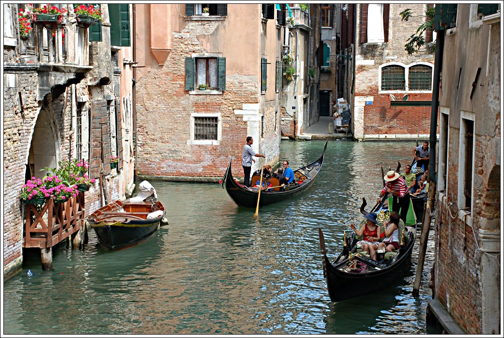 boats and flowers