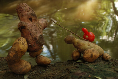 Дон Кихот Ламанчский