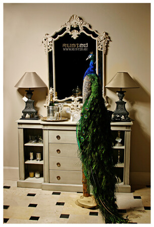 about peacock