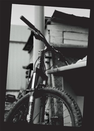 До следующего лета