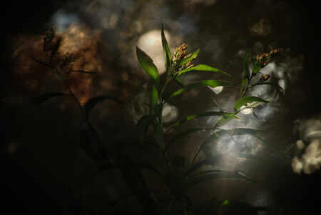 На краю вселенной