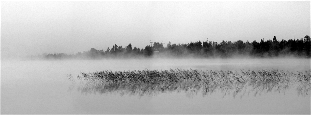 Misty