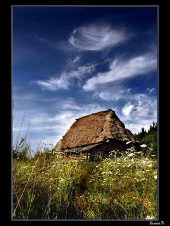 Карпатские мотивы