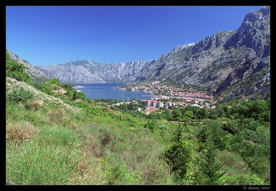 Kotor