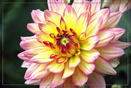 Последний летний привет