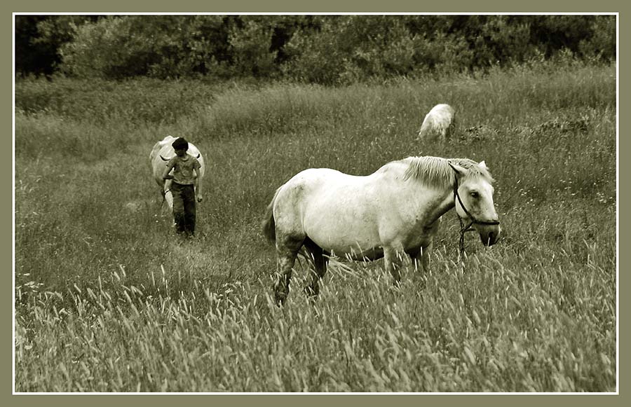 Сельская жизнь.