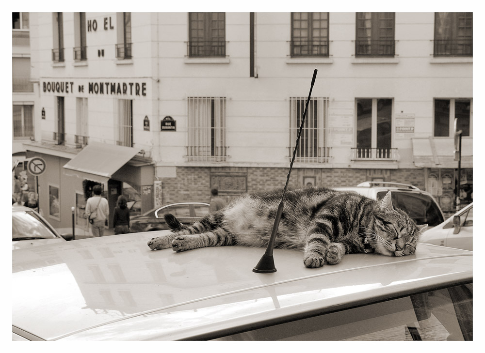 Charme de Paris: MONMARTRE