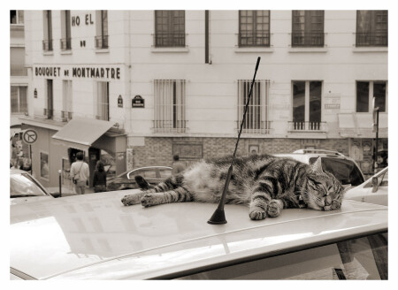Charme de Paris: MONMARTRE