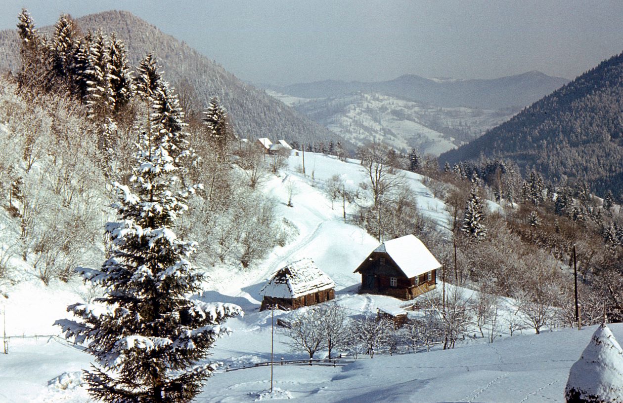 Зимний пейзаж,Карпаты.
