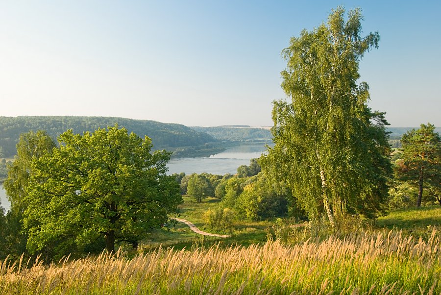 Мгновеье солнечного лета