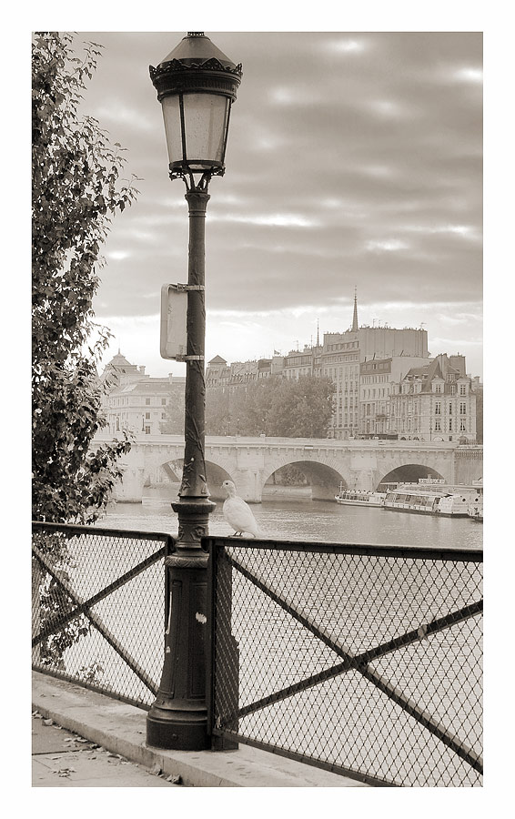 Charme de Paris: SEINE