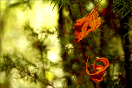 Ёлочные игрушки...