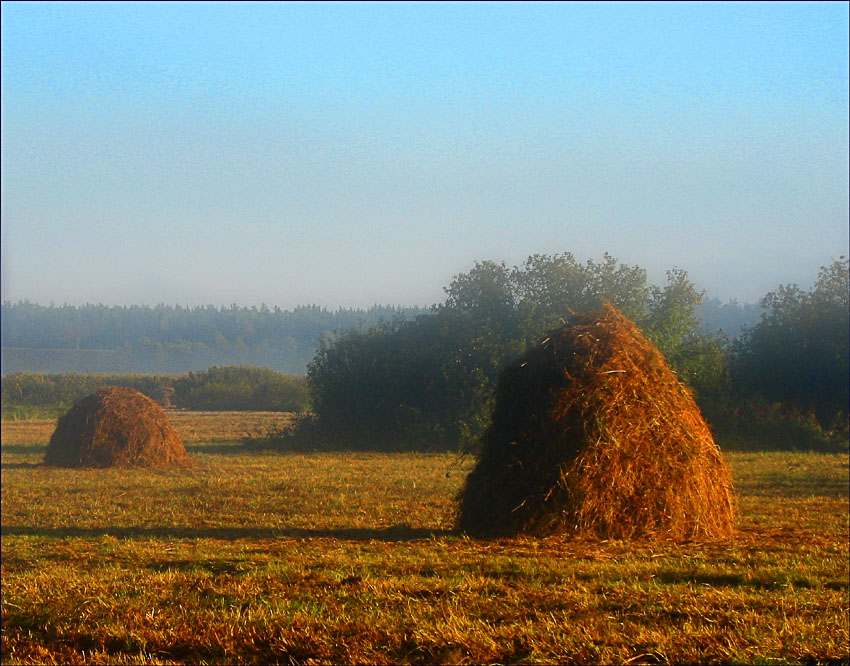 Пойма