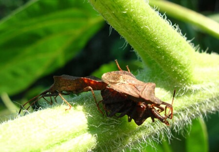 С двумя еще не пробывала!