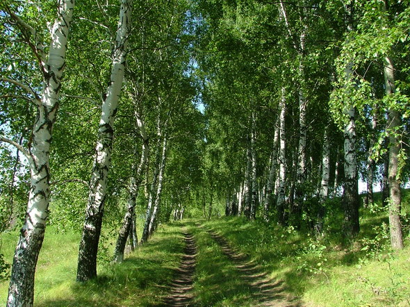 В мир прекрасного