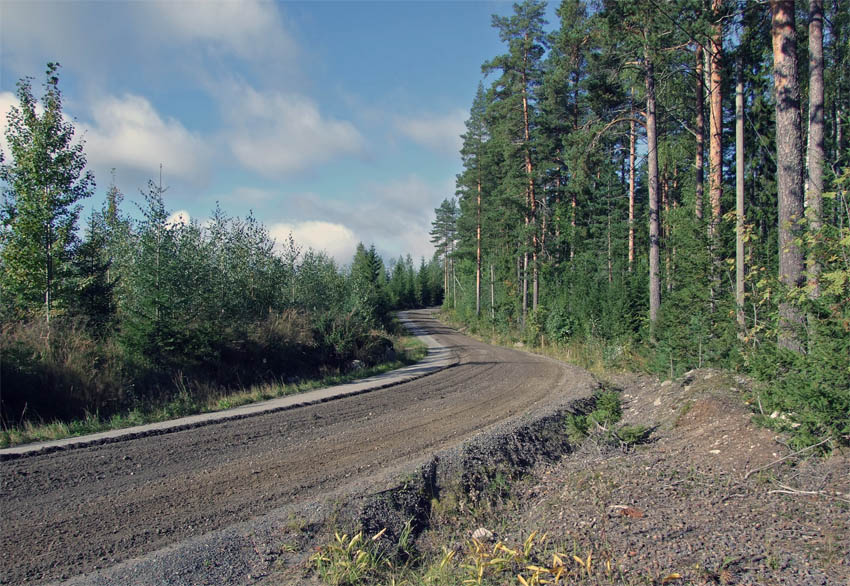 Лесная дорога.
