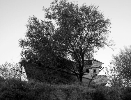 И по морю..и по суше:)