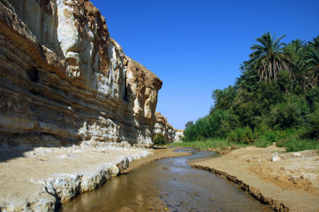 гора,ручей,зелень