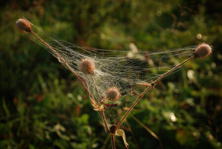 Бермудский треугольник