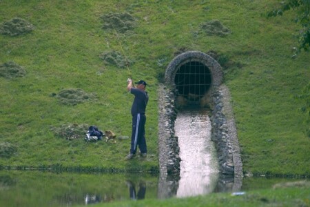 Теща ухи хочет