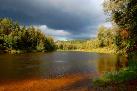 Осенние мотивы