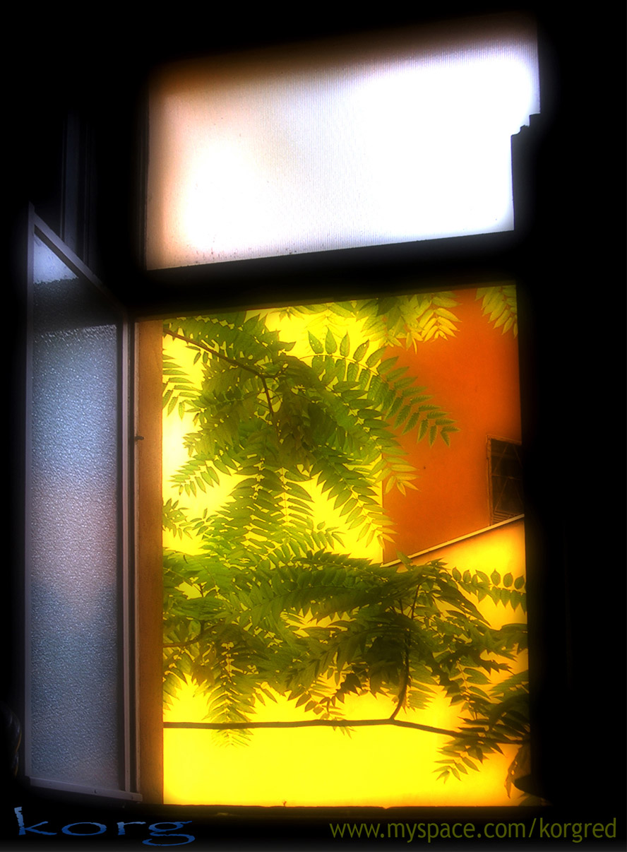 Window