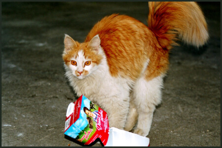 молоко за вредность