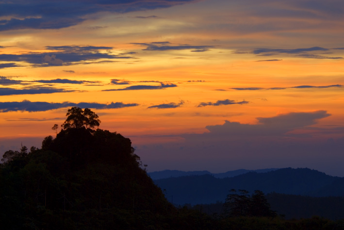 Borneo_2