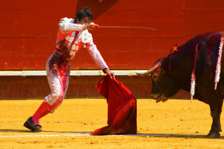Corrida_partI