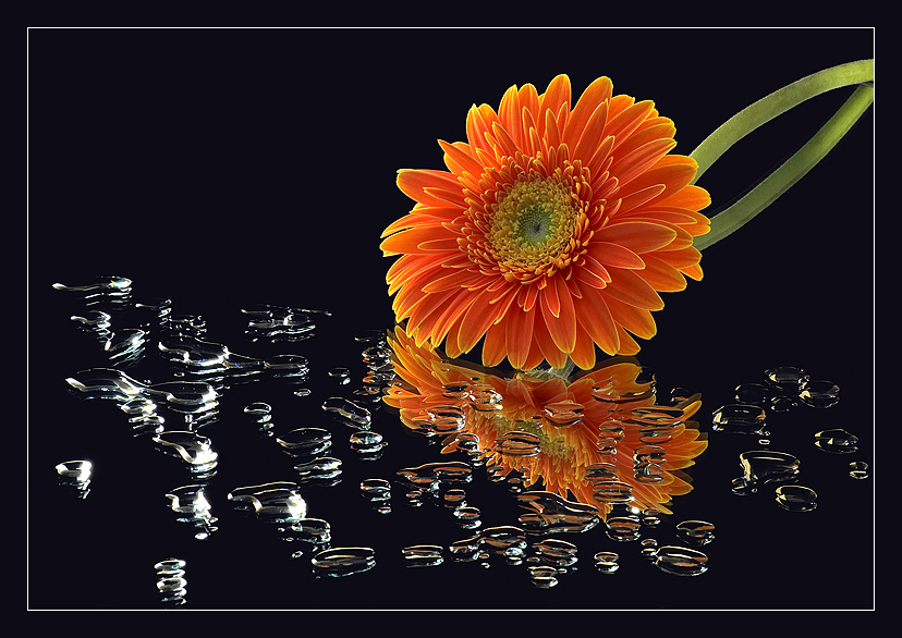 Diamonds and flower.