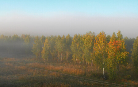 Вдоль осени [24.09.2005 07:21 #0964]