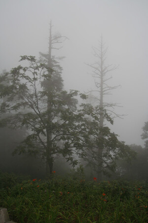 Где-то, между небом и землей