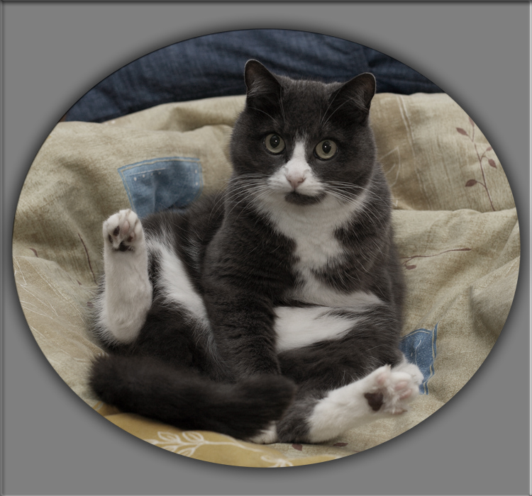 Position №2