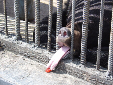 моя конфетка...